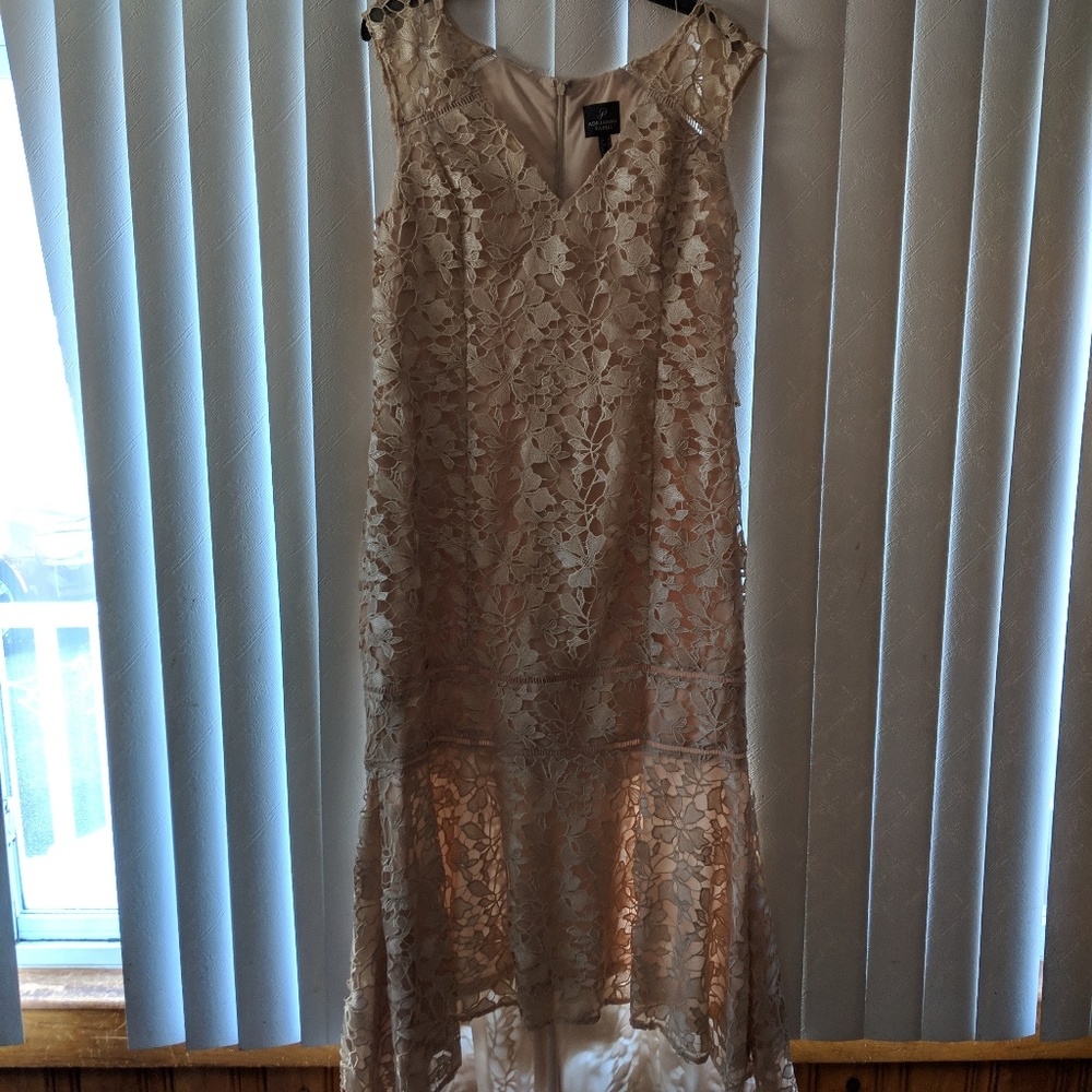 Adrianna popell champagne dress